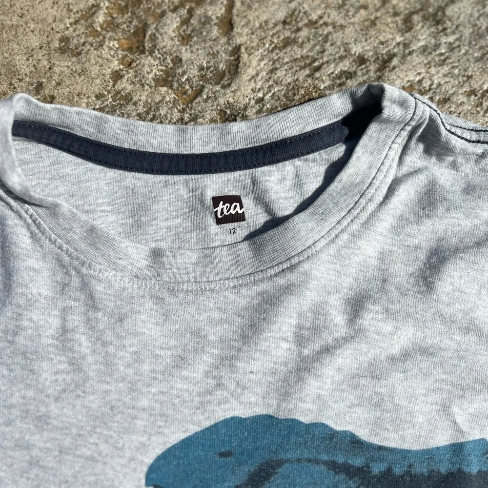 Tea Collection Double Sided Dinosaur T-Rex 12